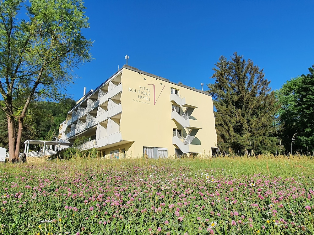 Vital Boutique Hotel Zurzacherhof Ex Zurzacherhof Swiss Quality Hotel 47/50