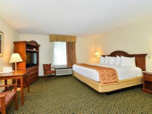 Room, Queen Bed
