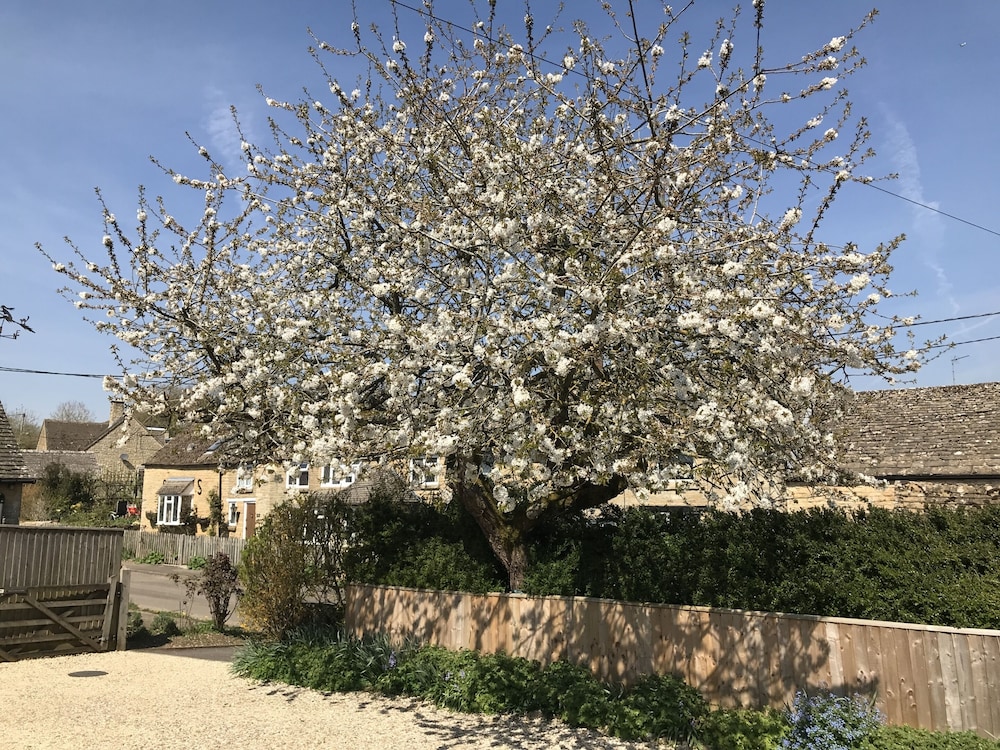 Cherry Tree Cottage 21/38