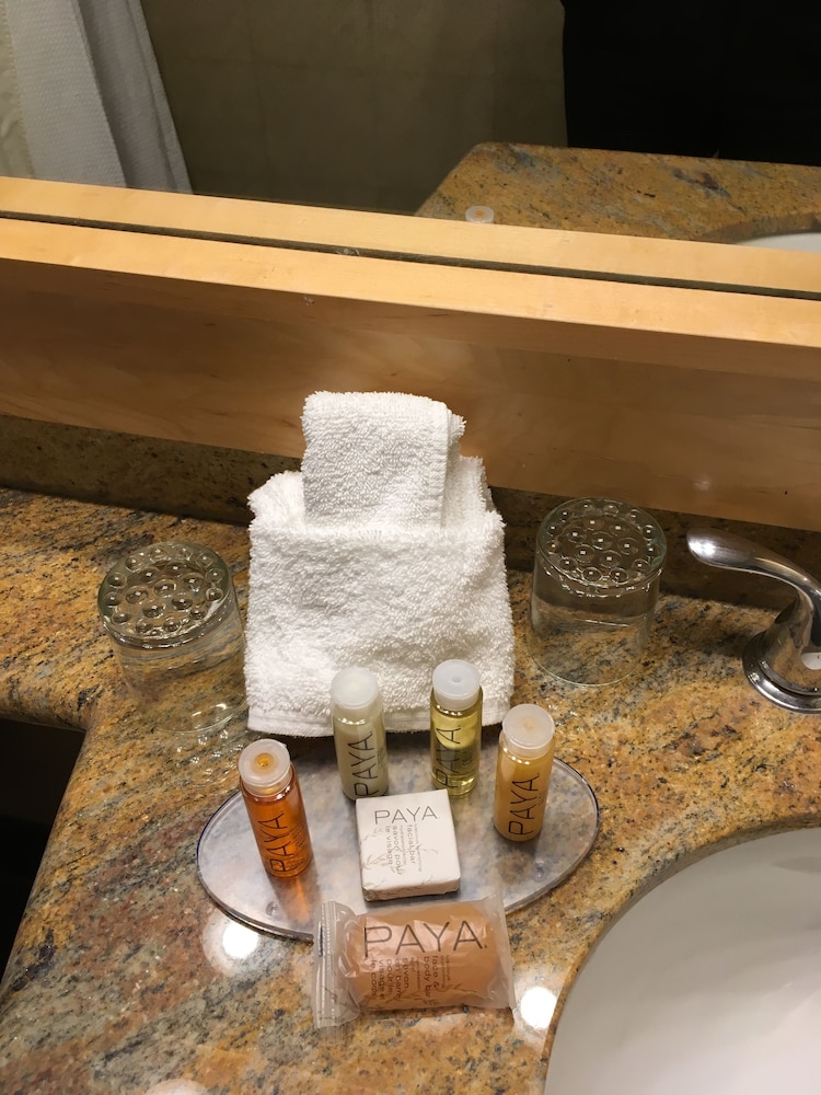 Whistler Village Inn Suites 17/73