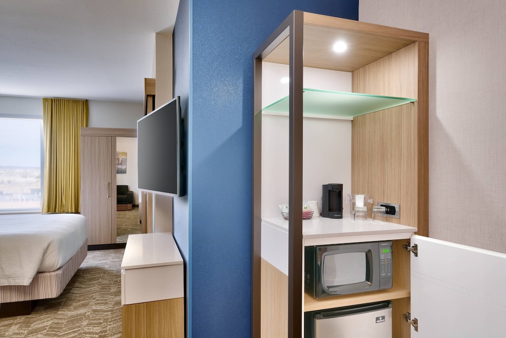 Springhill Suites Colorado Springs North/Air Force Academy 12/42