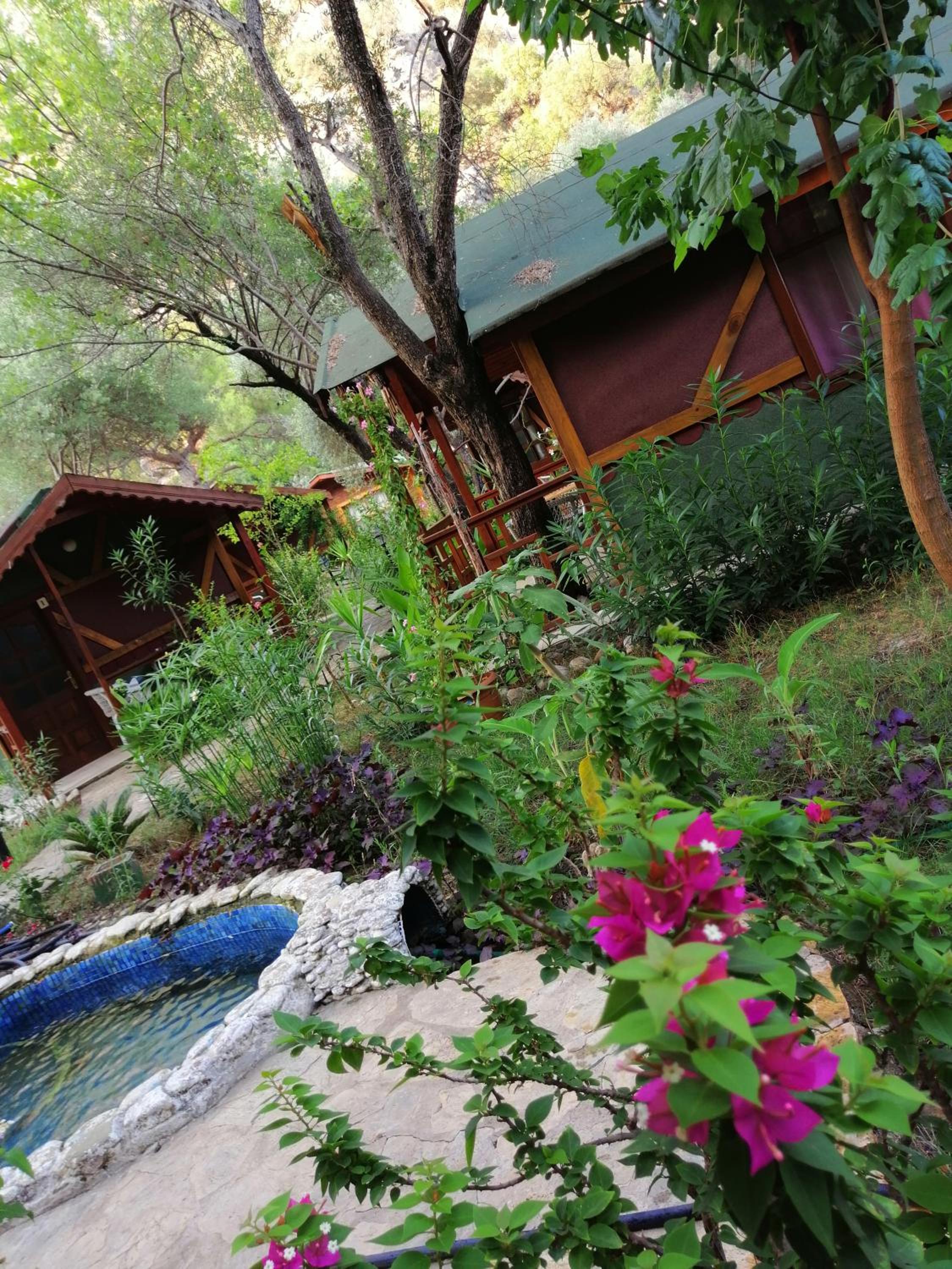 Canario Pension Bungalow 33/50