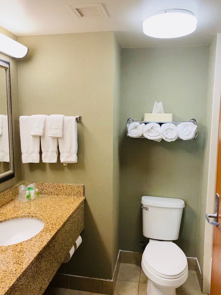 Holiday Inn Memphis University of Memphis 39/39