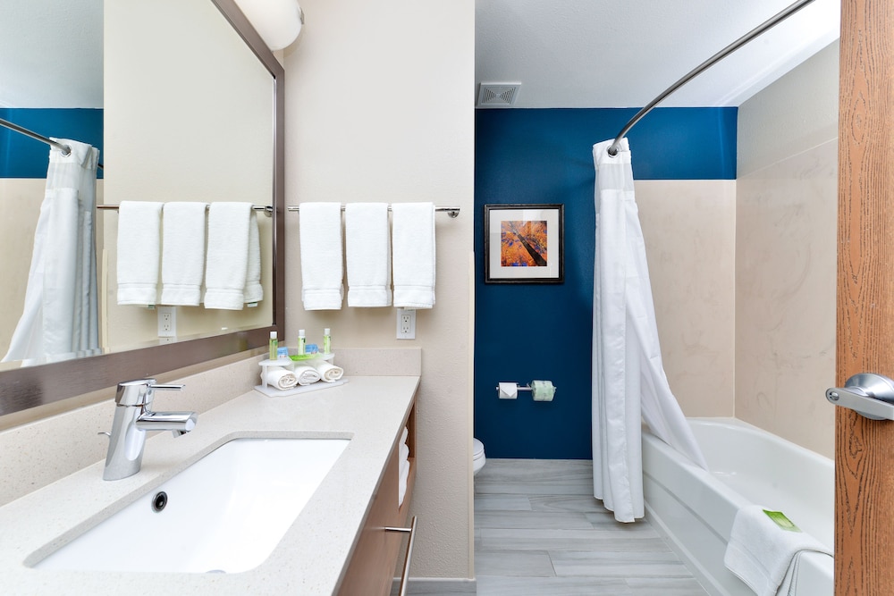 Holiday Inn Express Albuquerque N - Bernalillo, an IHG Hotel 23/61