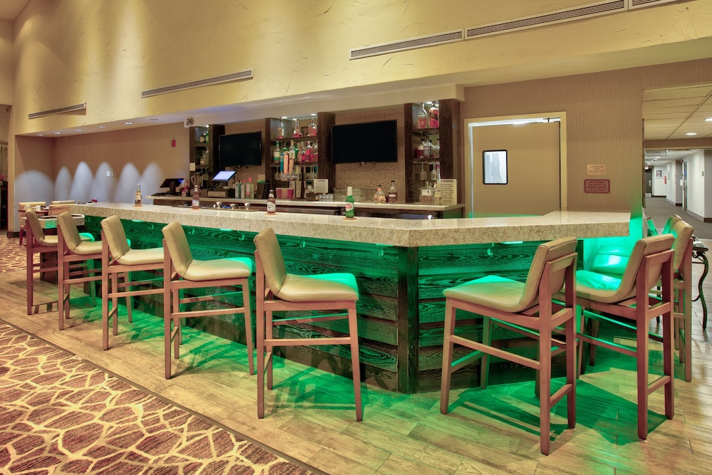 Holiday Inn Hotel And Suites 47/66