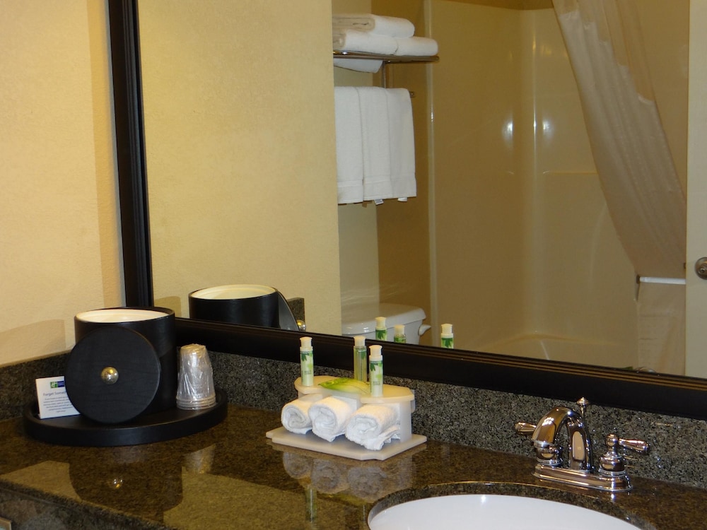 Holiday Inn Express Hotel And Suites Salisbury Delmar 55/68