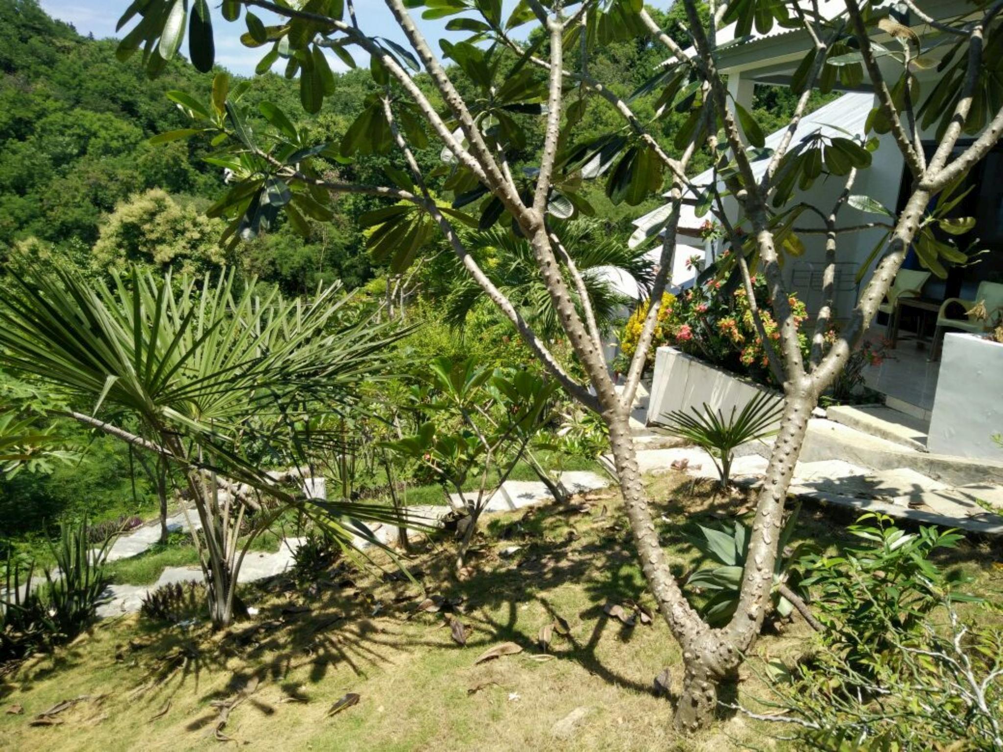 CF Komodo Hotel 22/36