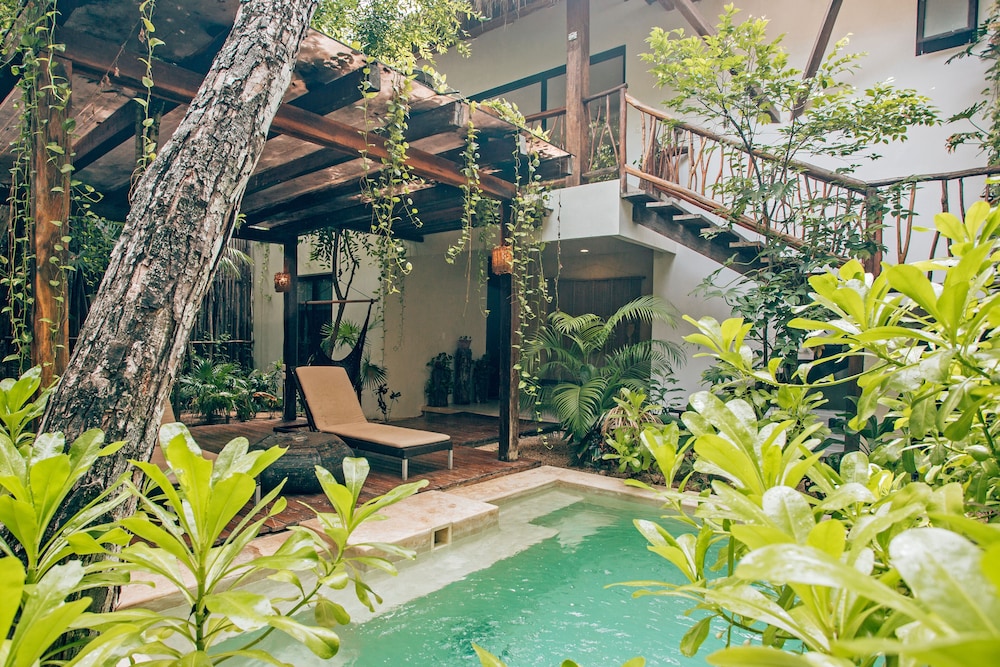 Orchid House Tulum 38/50