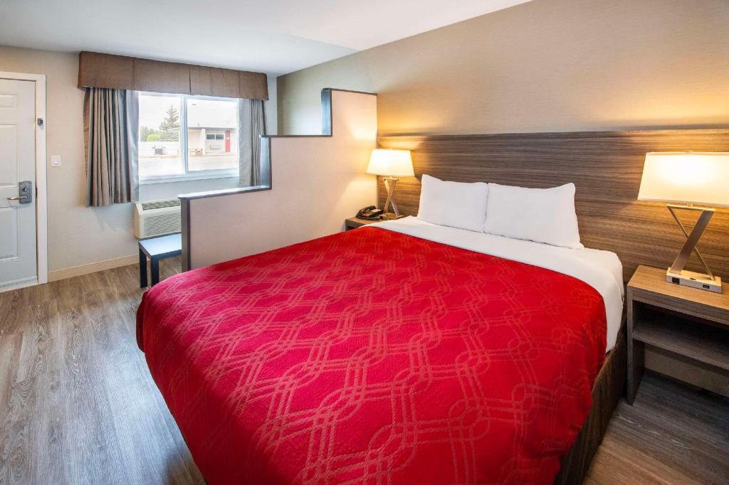 Efficiency, Suite, Queen Bed