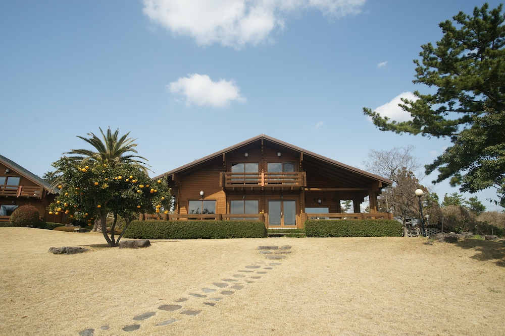 Sunnyday Jeju 43/49
