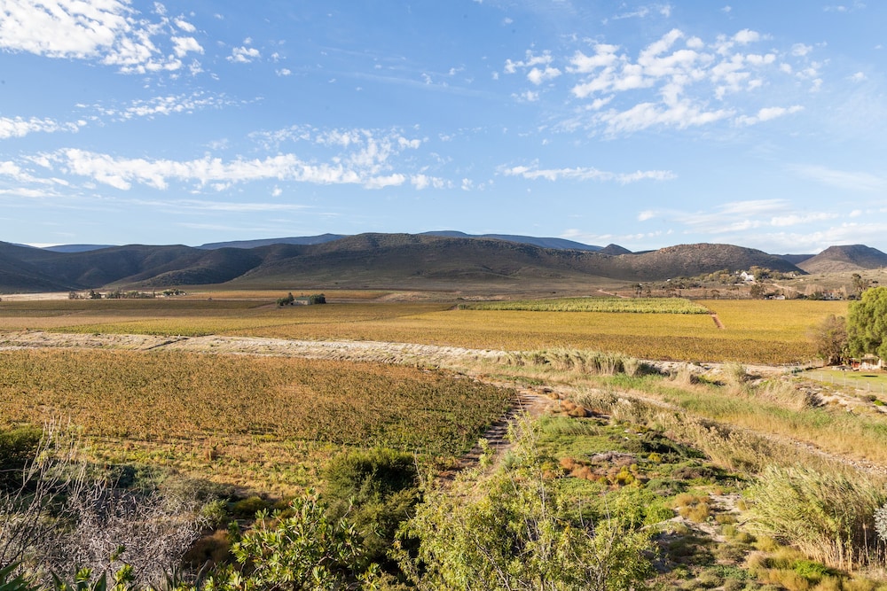 Montagu Springs Resort 42/50