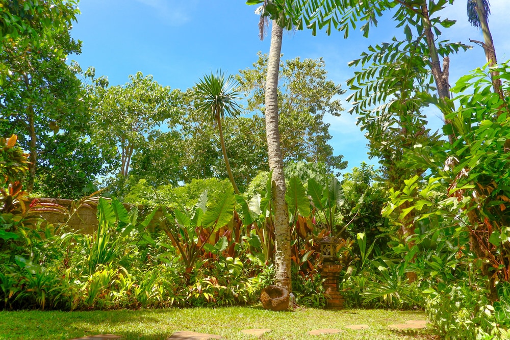 Garden View Ubud 35/50