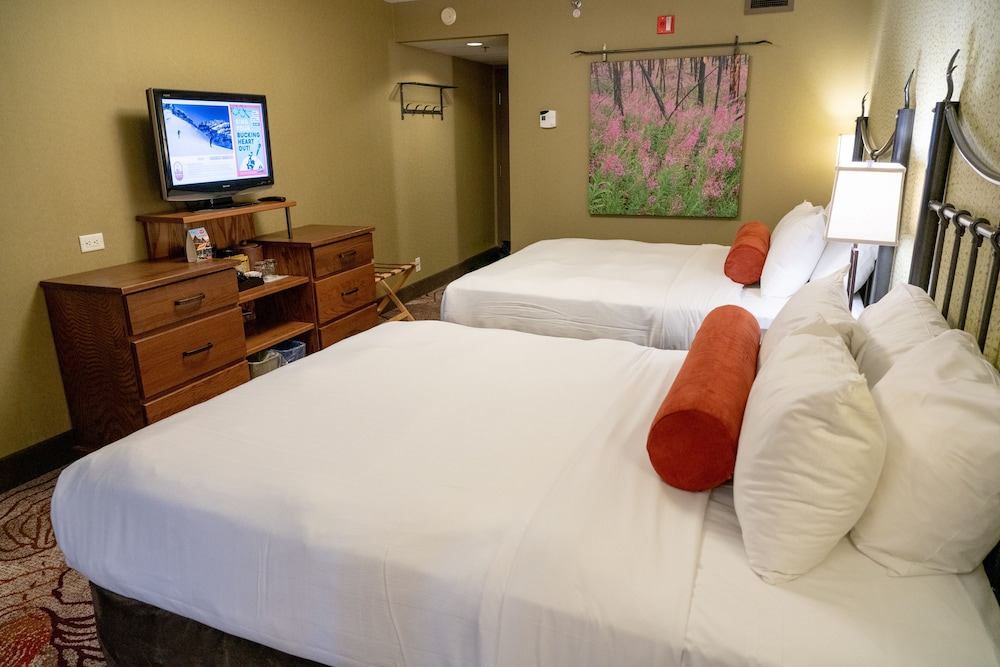 SUPERIOR, 2 QUEEN BEDS