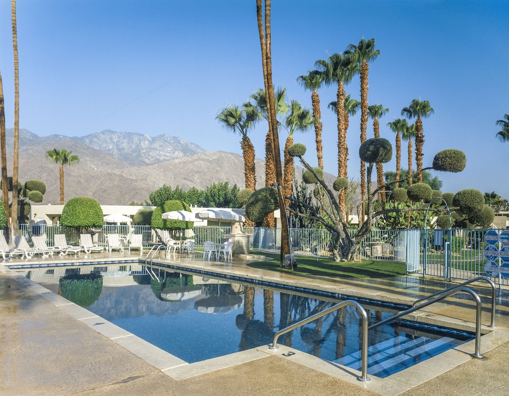 Desert Isle Of Palm Springs 16/50