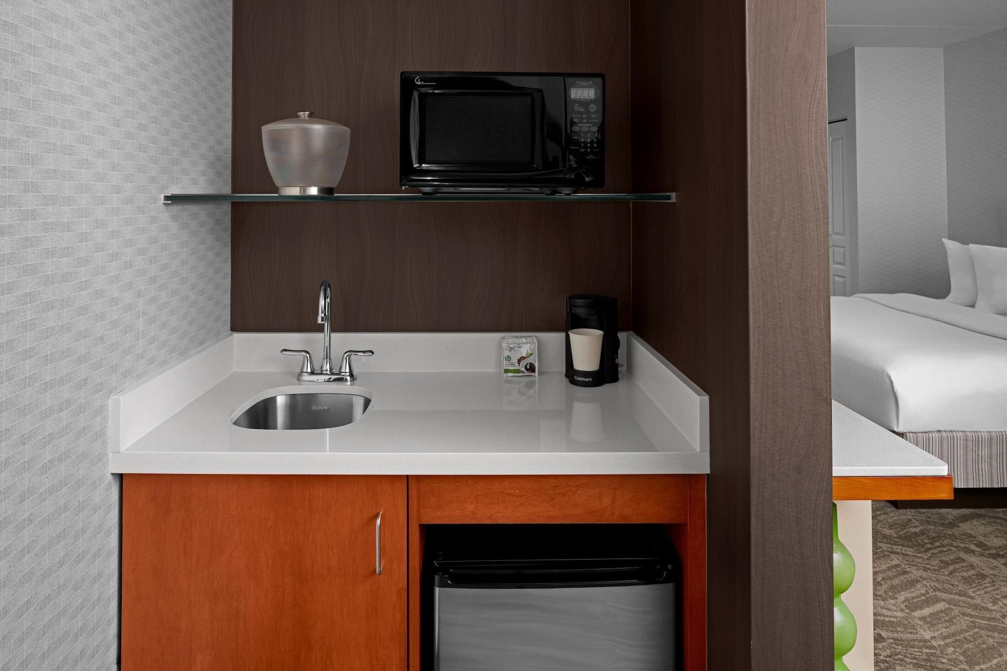 Executive, Studio, Multiple Beds, High Floor، Springhill Suites Pittsburgh Southside Works 4/5