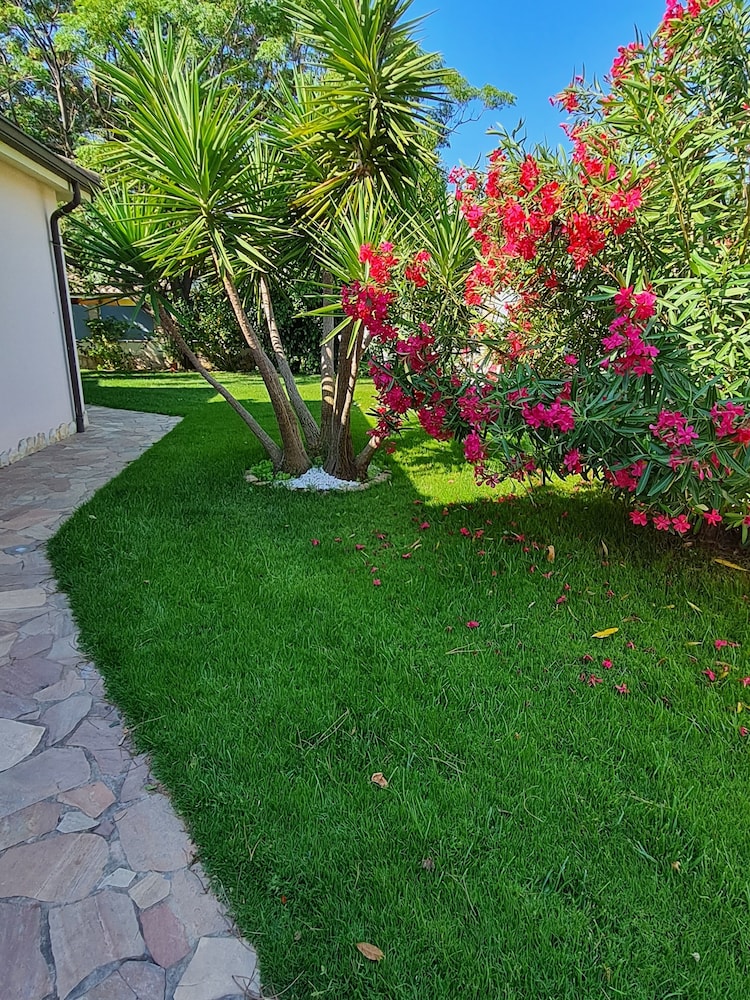 Gentarrubia - B&B 32/50