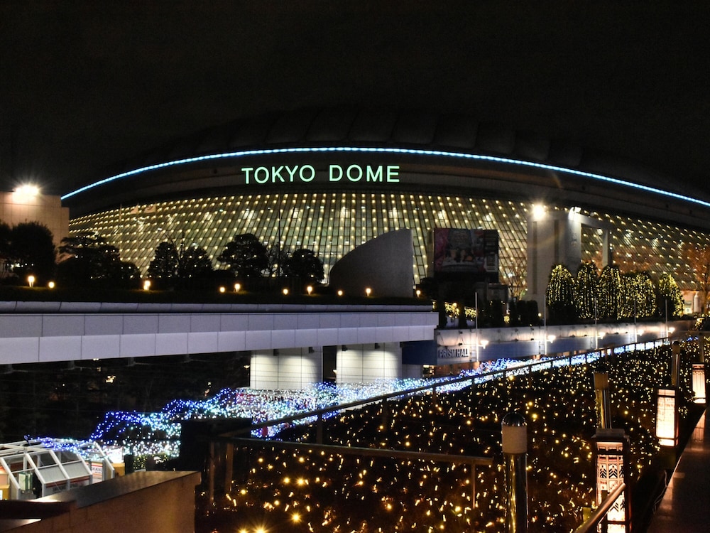 Toyoko Inn Korakuen Bunkyokuyakushomae 34/48