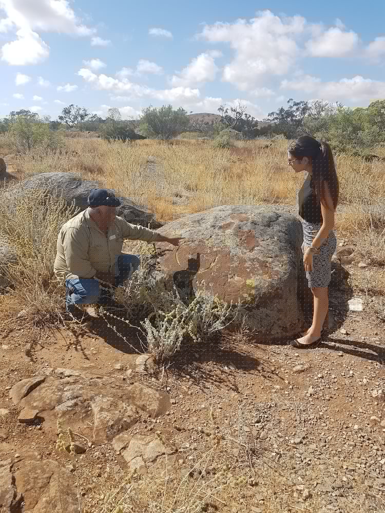 Discovery Resorts - Wilpena Pound 20/33