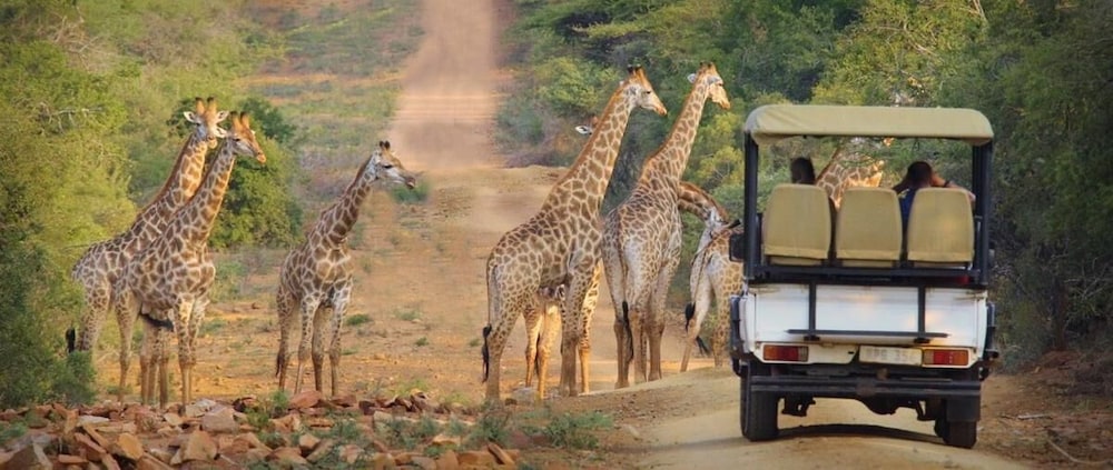Pakamisa Private Game Reserve 33/34