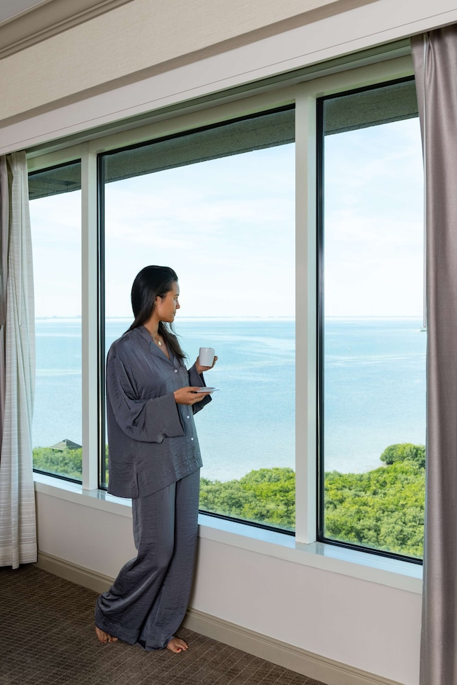Grand Hyatt Tampa Bay 7/50