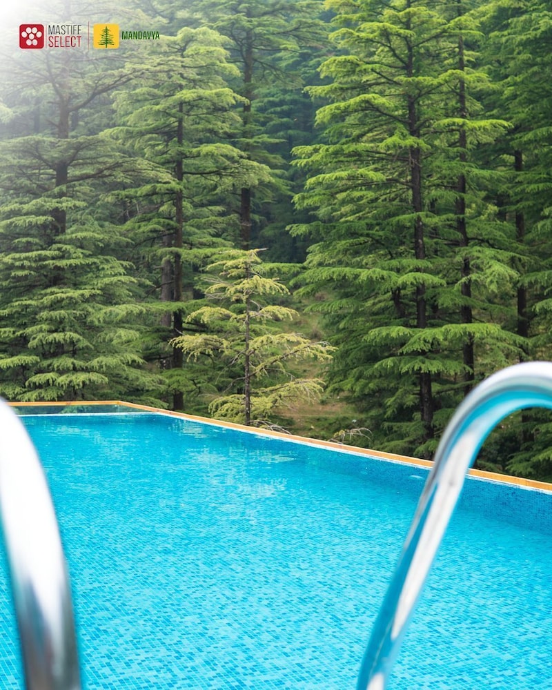 Mastiff Select Mandavya Dharamkot, McLeodganj 37/61