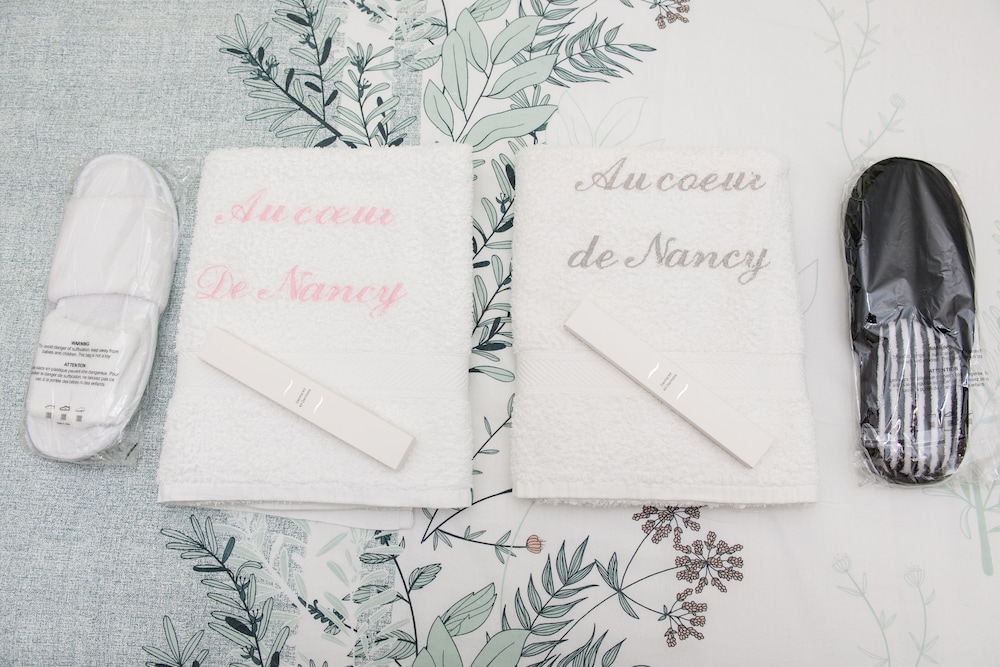 Au Coeur De Nancy Bnb 15/50