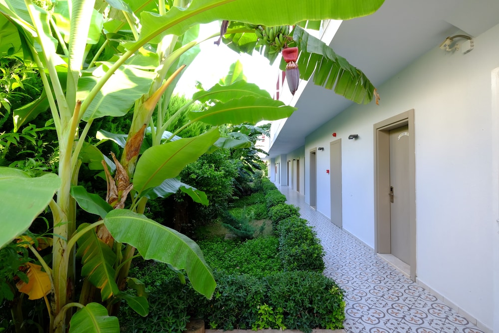 Villa Rustica Hotel 36/41