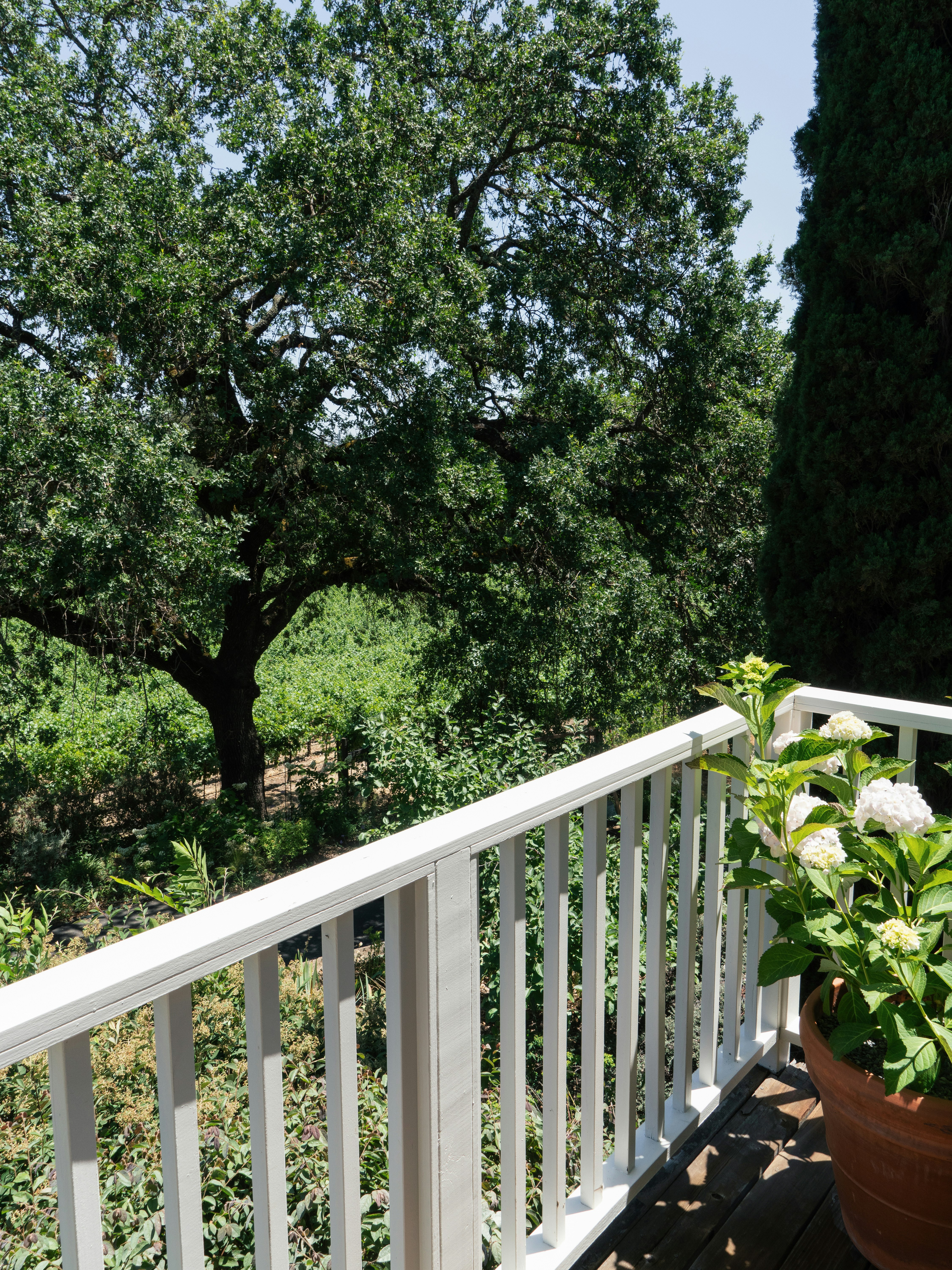 Wine Country Inn 2/74