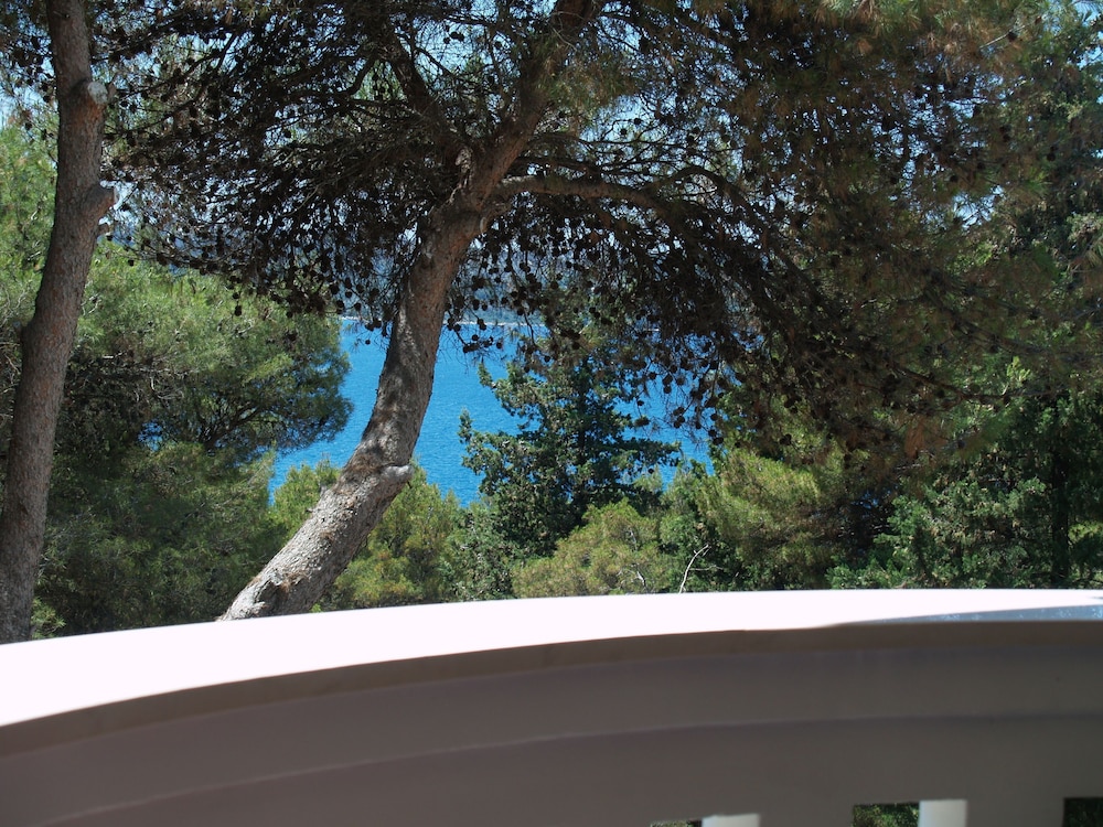 Villa Fani - Apartments And Rooms 41/50