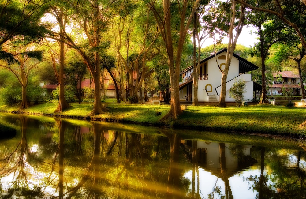 Cinnamon Lodge 43/50