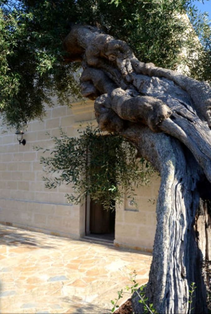 Agriturismo Masseria San Leonardo 10/22