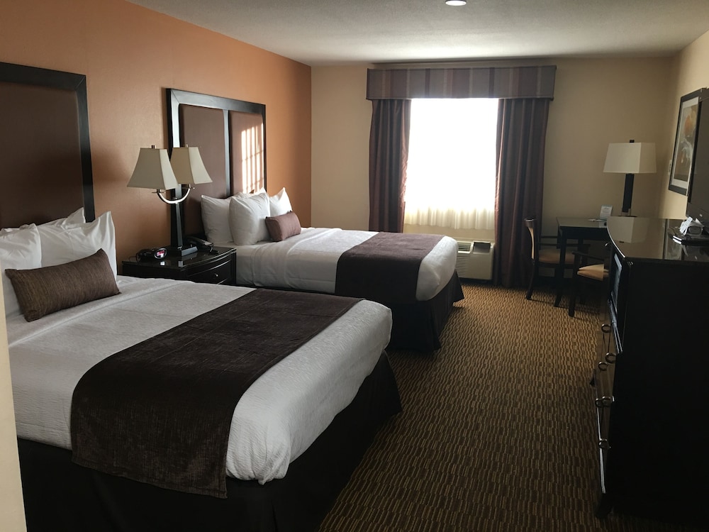 Best Western Plus Vineyard Inn 18/45