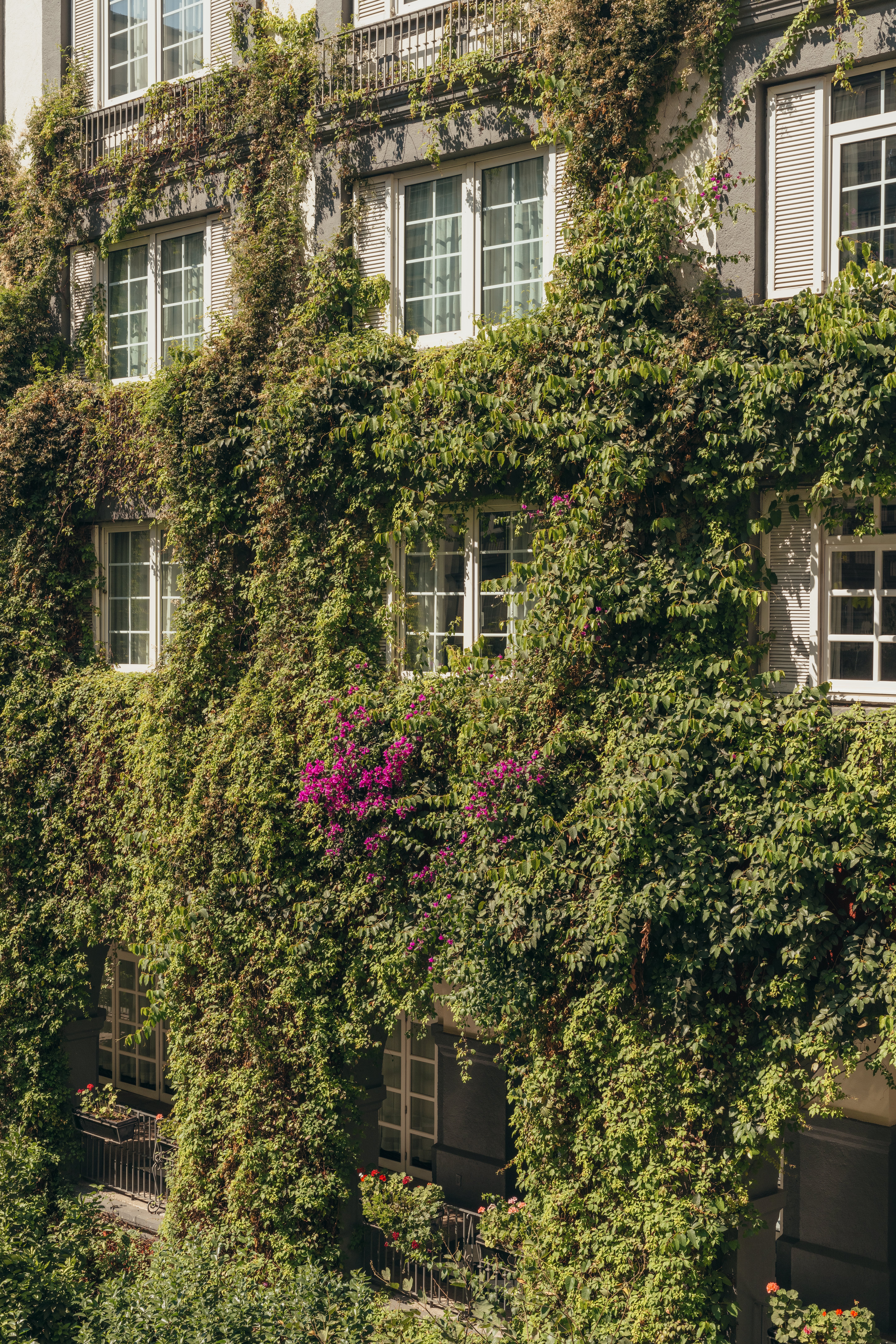 Four Seasons Hotel Mexico City 62/70