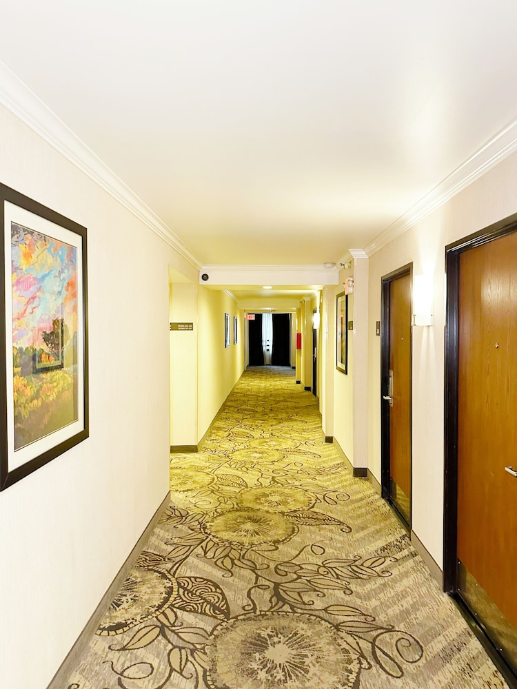 Alhambra Hotel 11/50