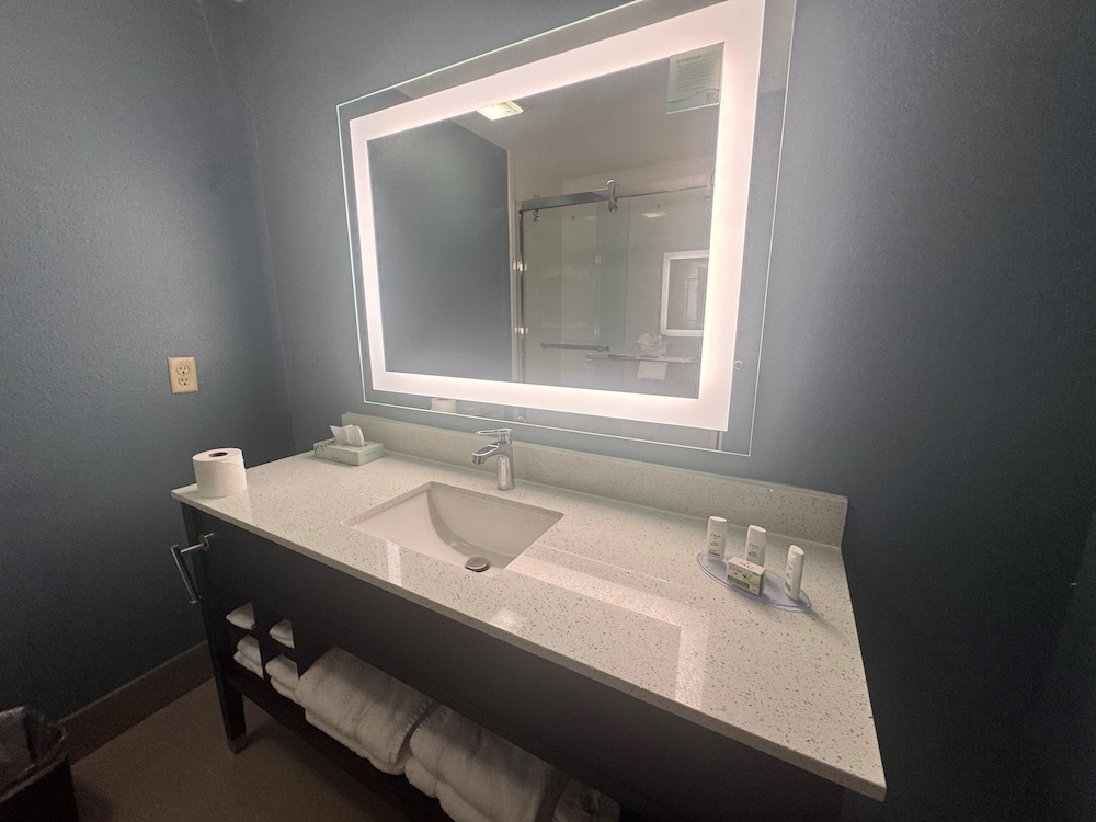 Wingate by Wyndham College Station TX 55/58