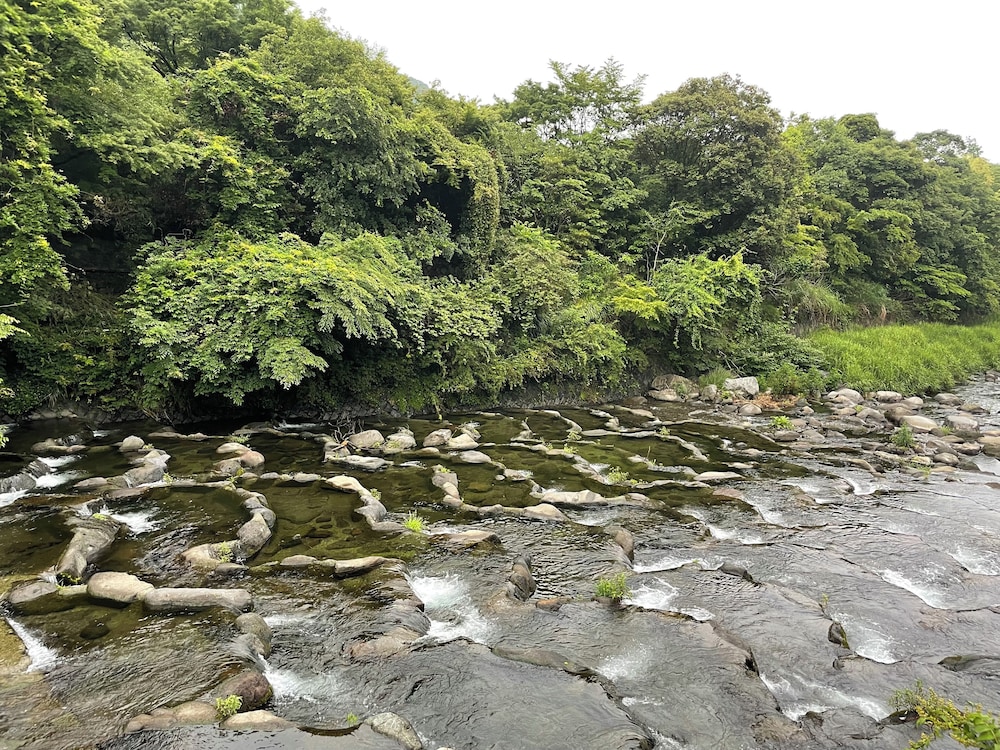 Hakone Pax Yoshino 44/49