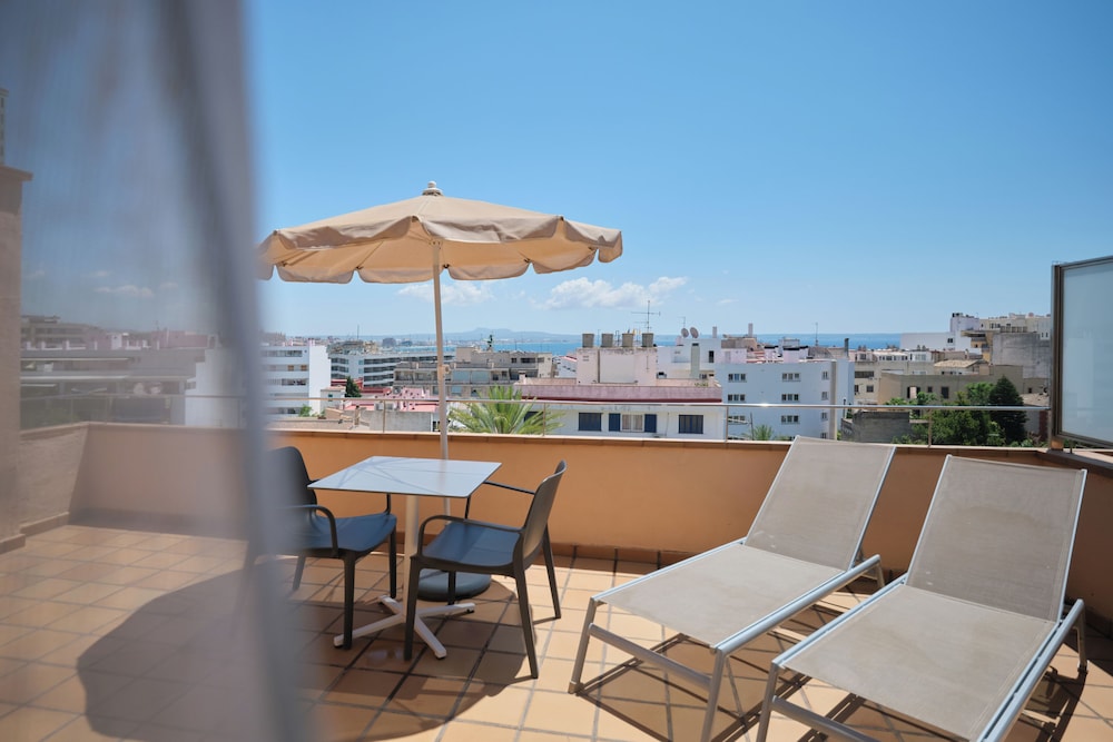 Sercotel Zurbaran Palma 53/64