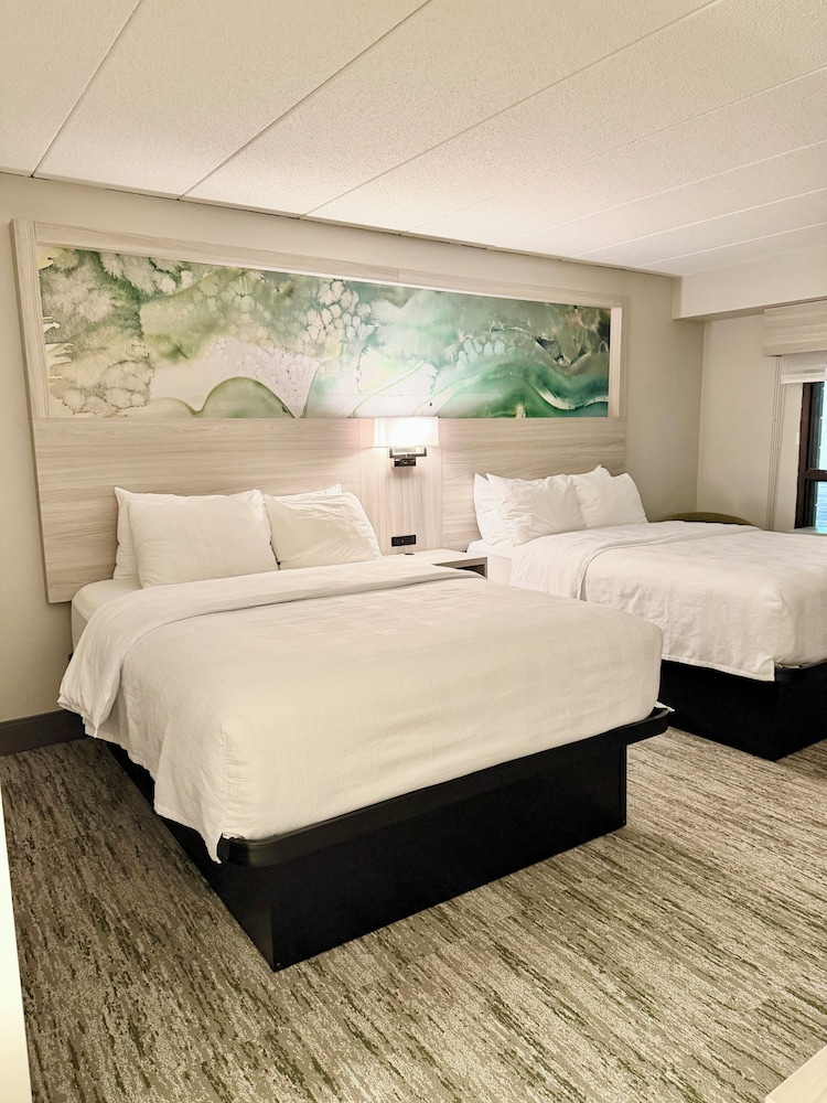 Standard, 2 Queen Beds, Pool Side