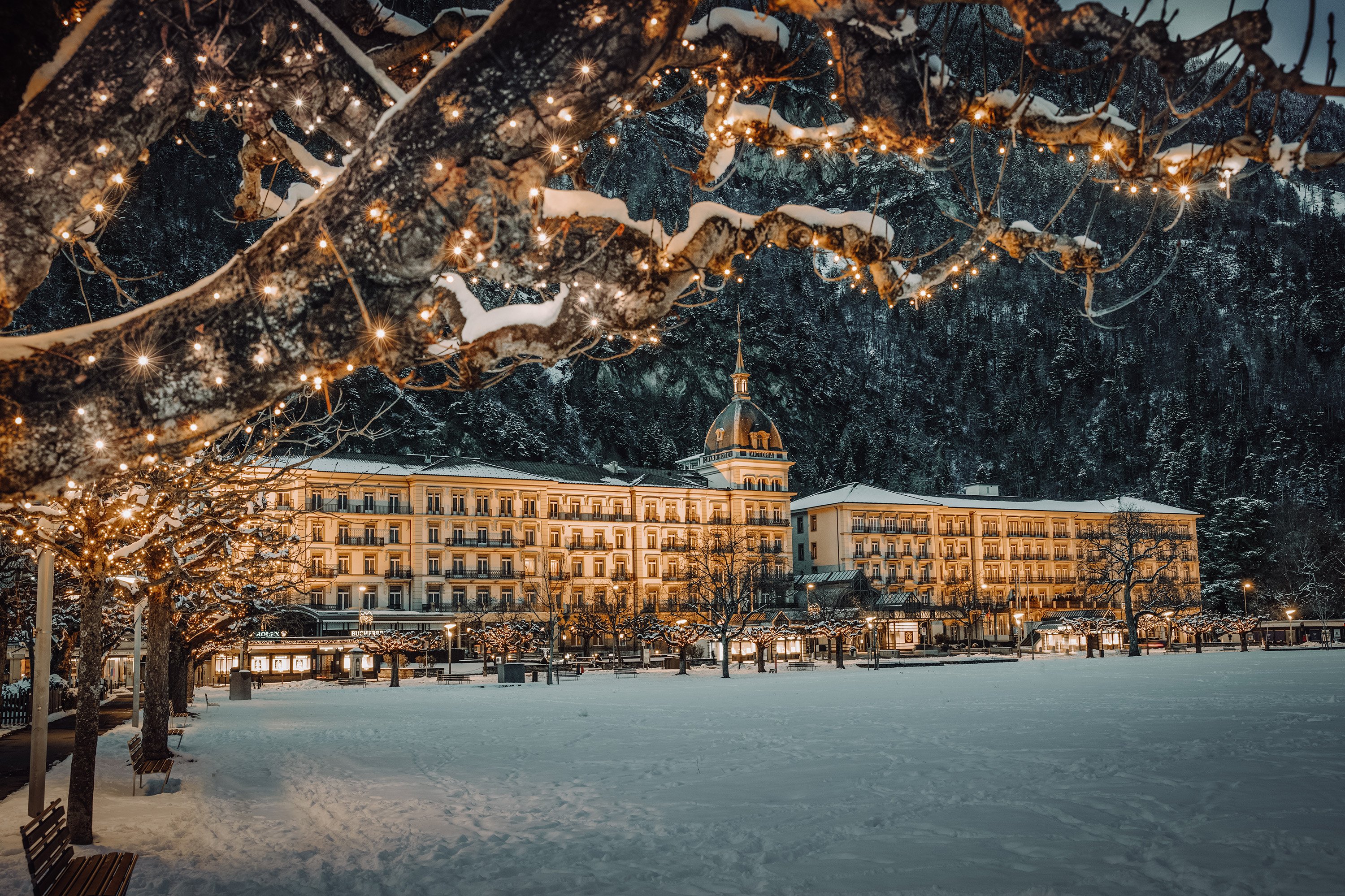 Victoria Jungfrau Grand Hotel And Spa 61/65
