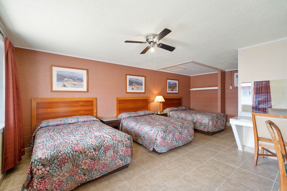 OYO Hotel Beeville US 181 28/64