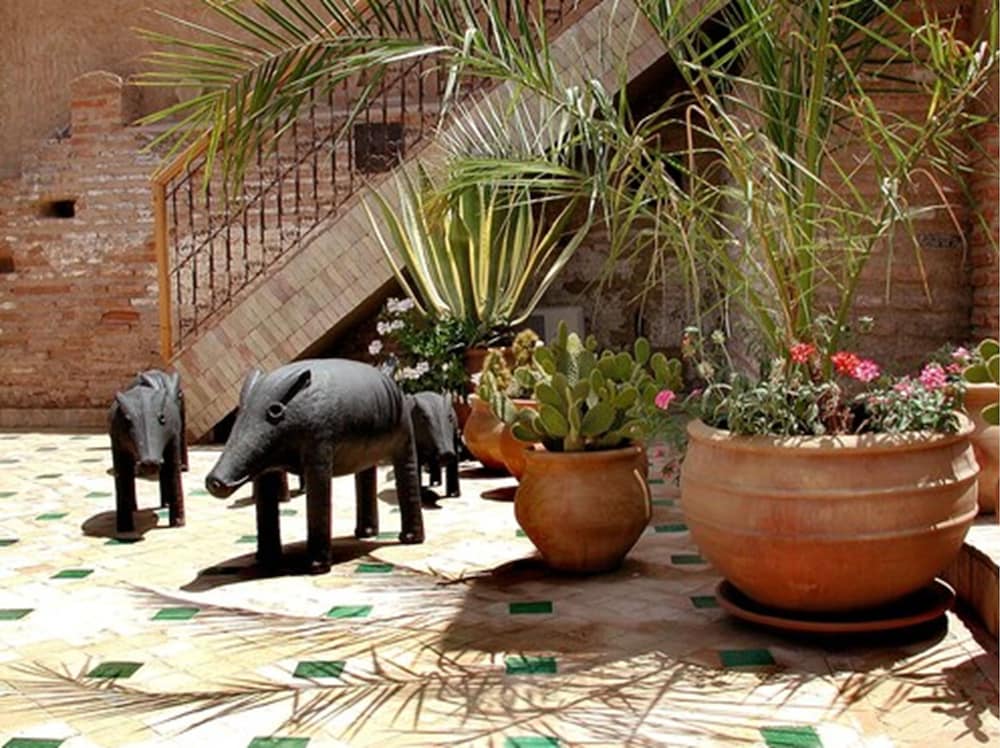 RIAD ALADDIN 69/76