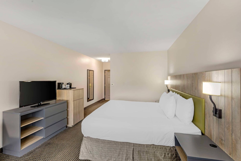 غرفة بسرير كينج لذوي الإعاقة، Country Inn & Suites By Radisson, Elk Grove Village/Itasca 6/9