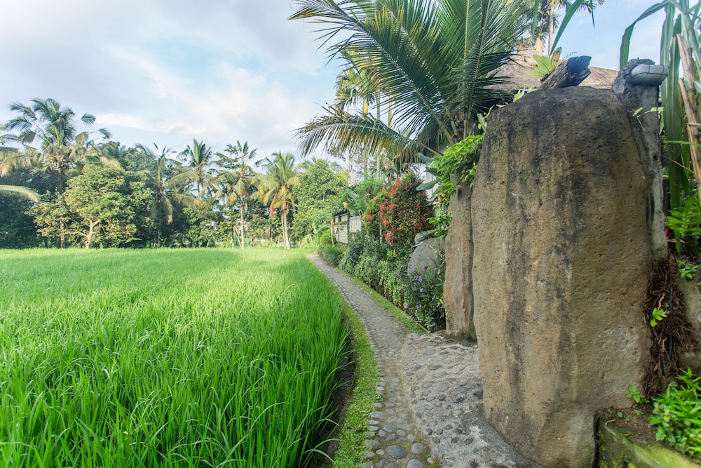 Ubud Luwih Villa 31/50