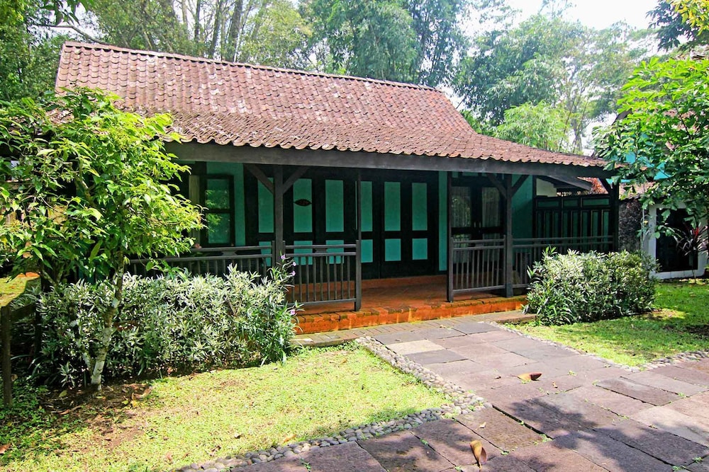Mesastila 5/49