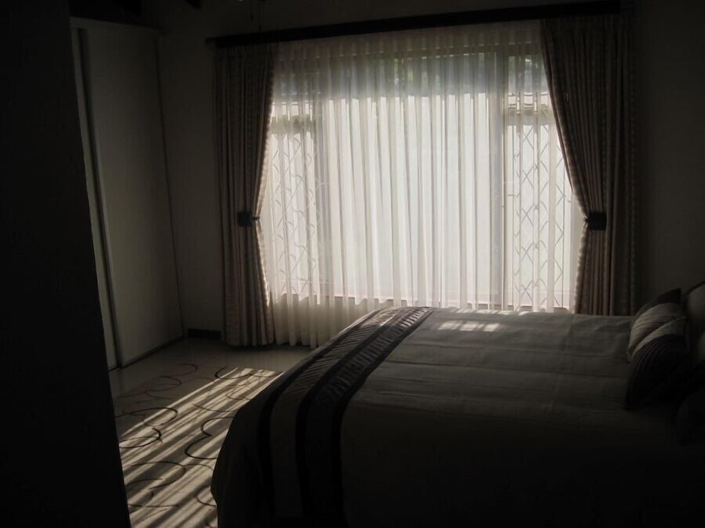 スワローズ ネスト 写真2