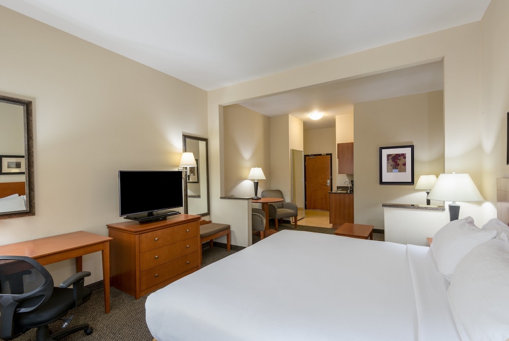 Holiday Inn Express Hotel & Suites Vernal - Dinosaurland 21/77