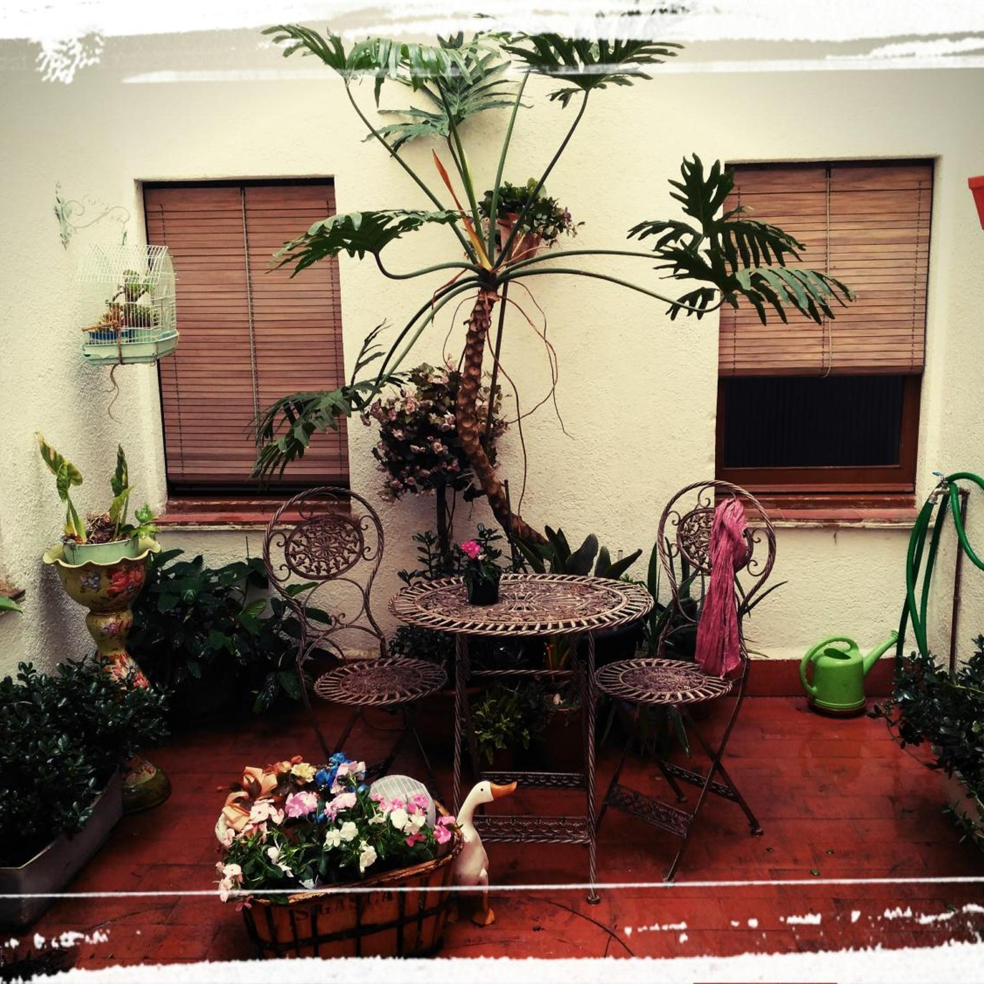 Miami Hotel 42/54