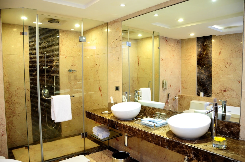 Radisson Blu Plaza Hotel Delhi Airport 14/76