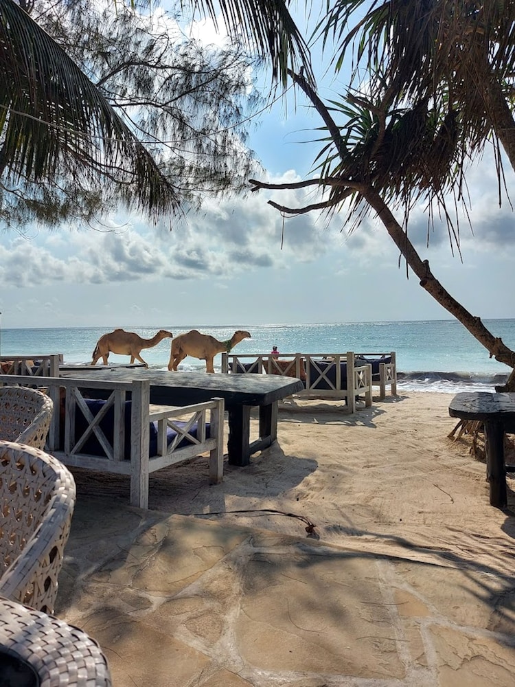 Bahari Dhow Beach Villas 57/61