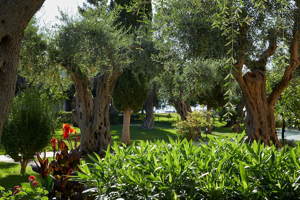 Delfinia Hotel in MESSONGHI